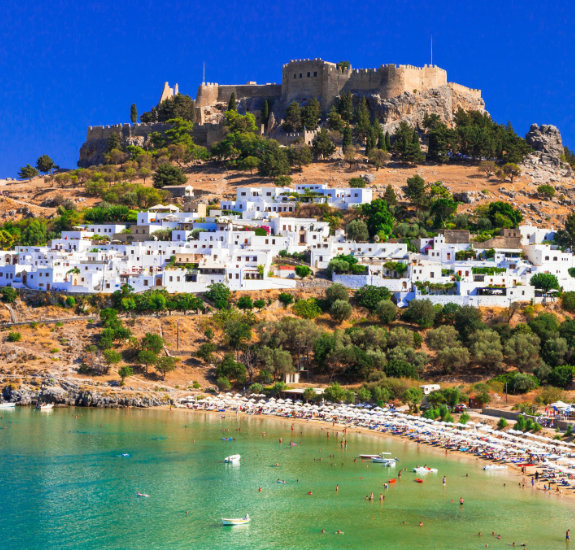 Why Choose Tiger Group image