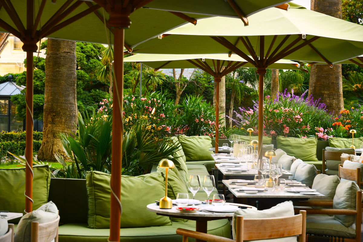 A Culinary Voyage Through Cannes hero image