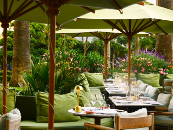 A Culinary Voyage Through Cannes image