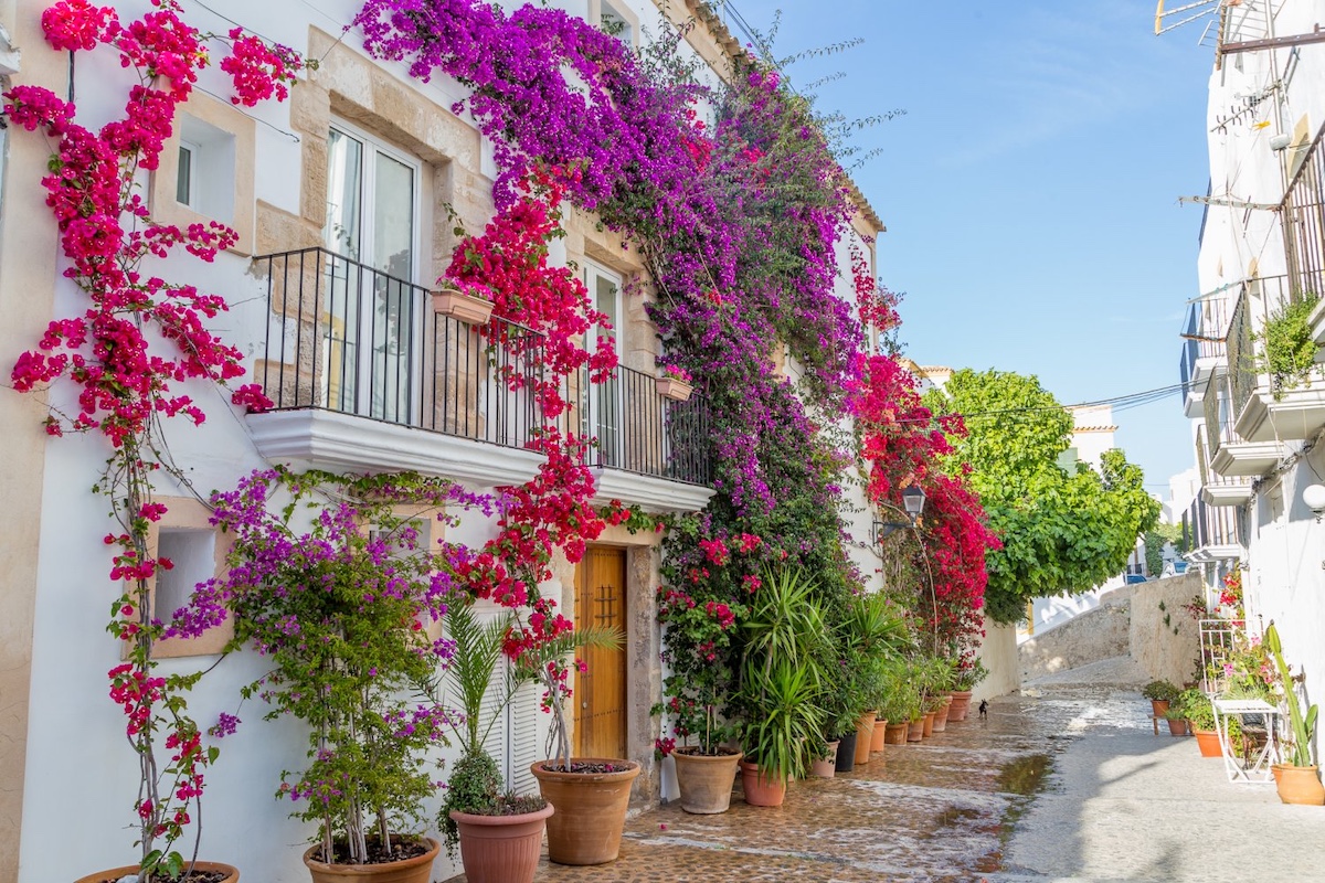 Explorando Ibiza a Pé: As 5 Melhores Rotas Cênicas hero image